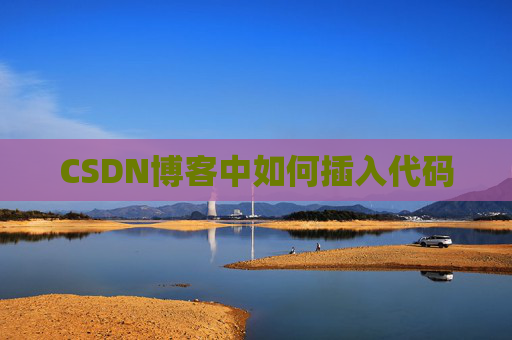 CSDN博客中如何插入代码